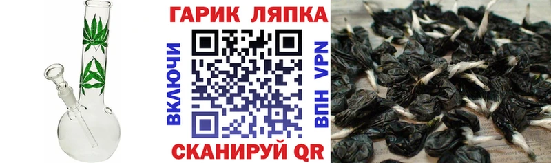 ГАШ Premium  кракен сайт  Суоярви  где найти  