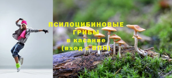 mdpv Алексин