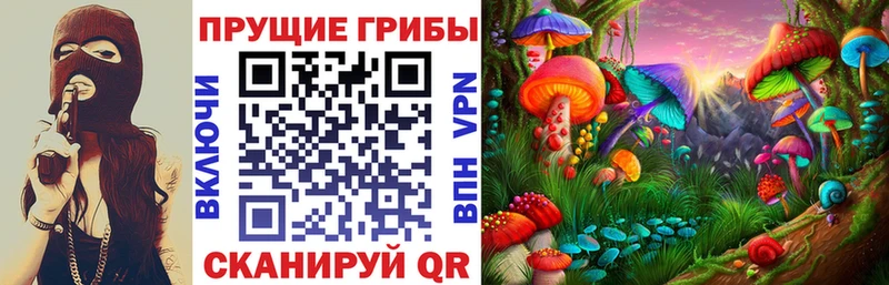 Галлюциногенные грибы Cubensis  Суоярви 